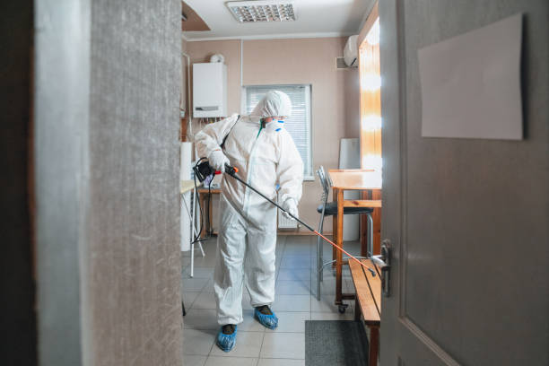 Best Asbestos and Lead Testing During Mold Inspection  in Mango, FL