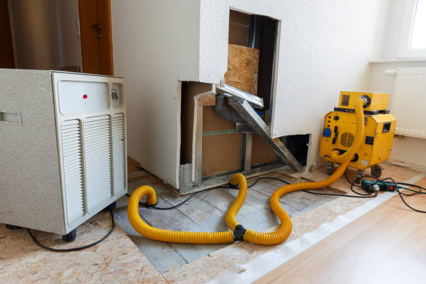 Mold Remediation for Rental Properties in Mango, FL